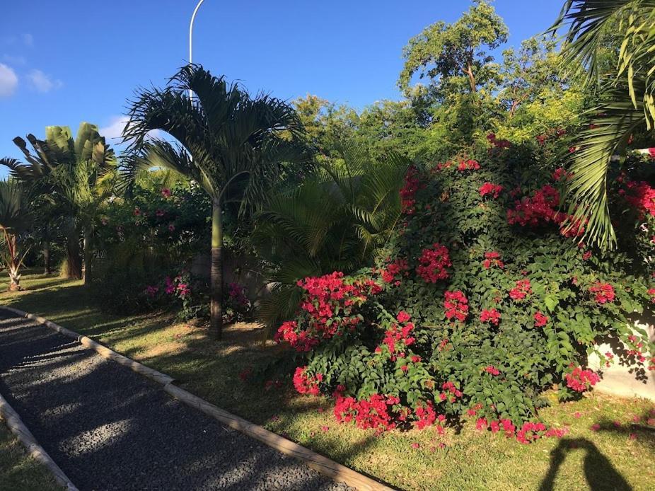 Villa La Belle Creole Saint-Francois  Luaran gambar